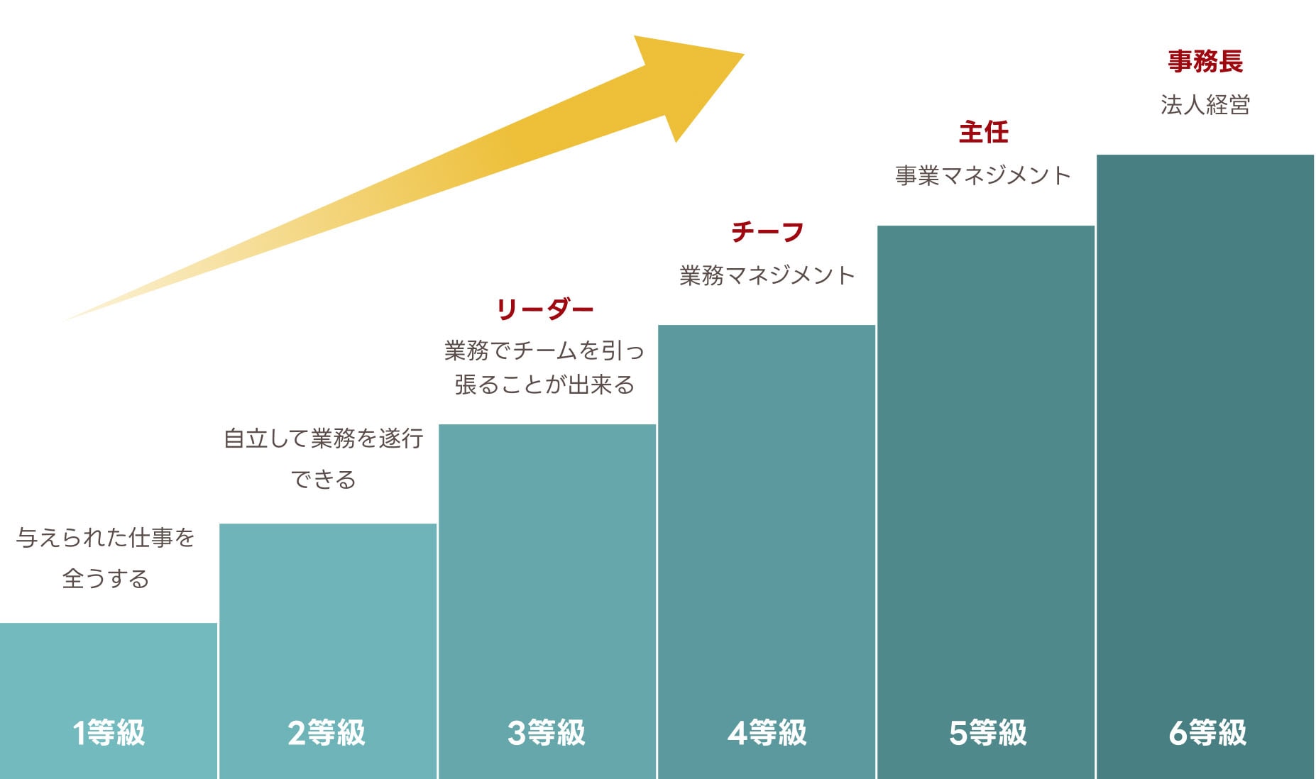 人事考課 階級の図
