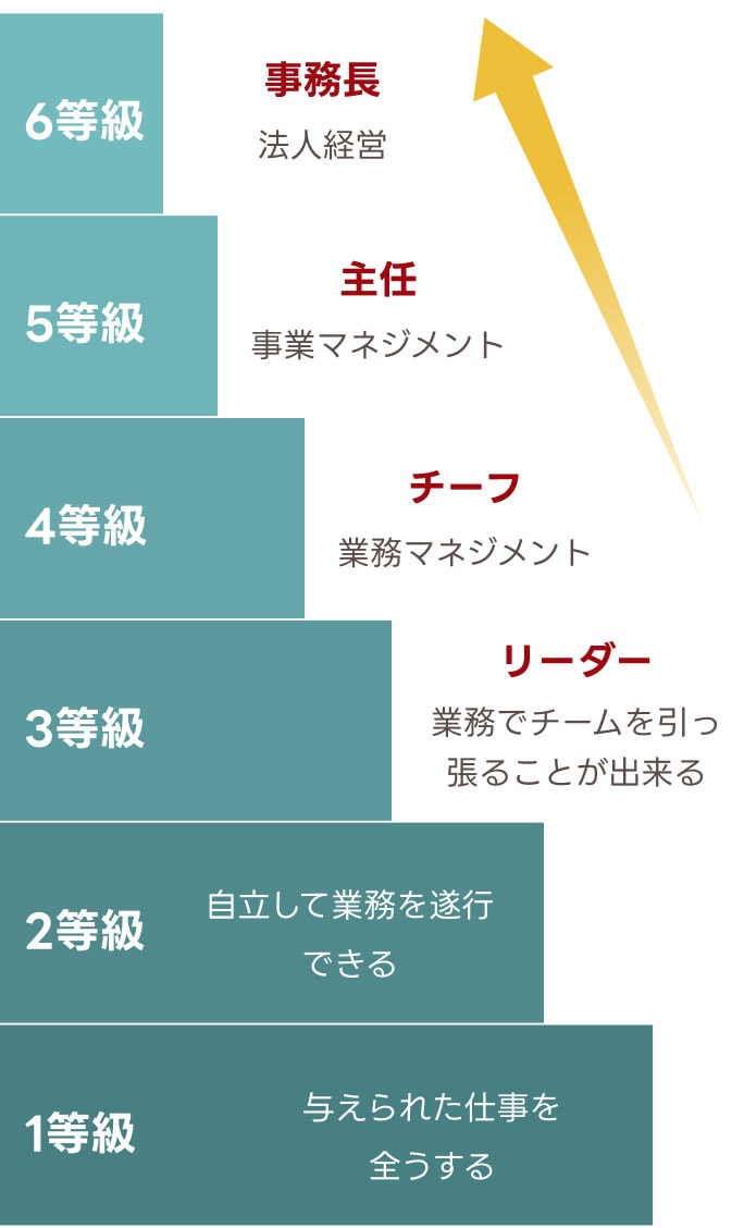 人事考課 階級の図